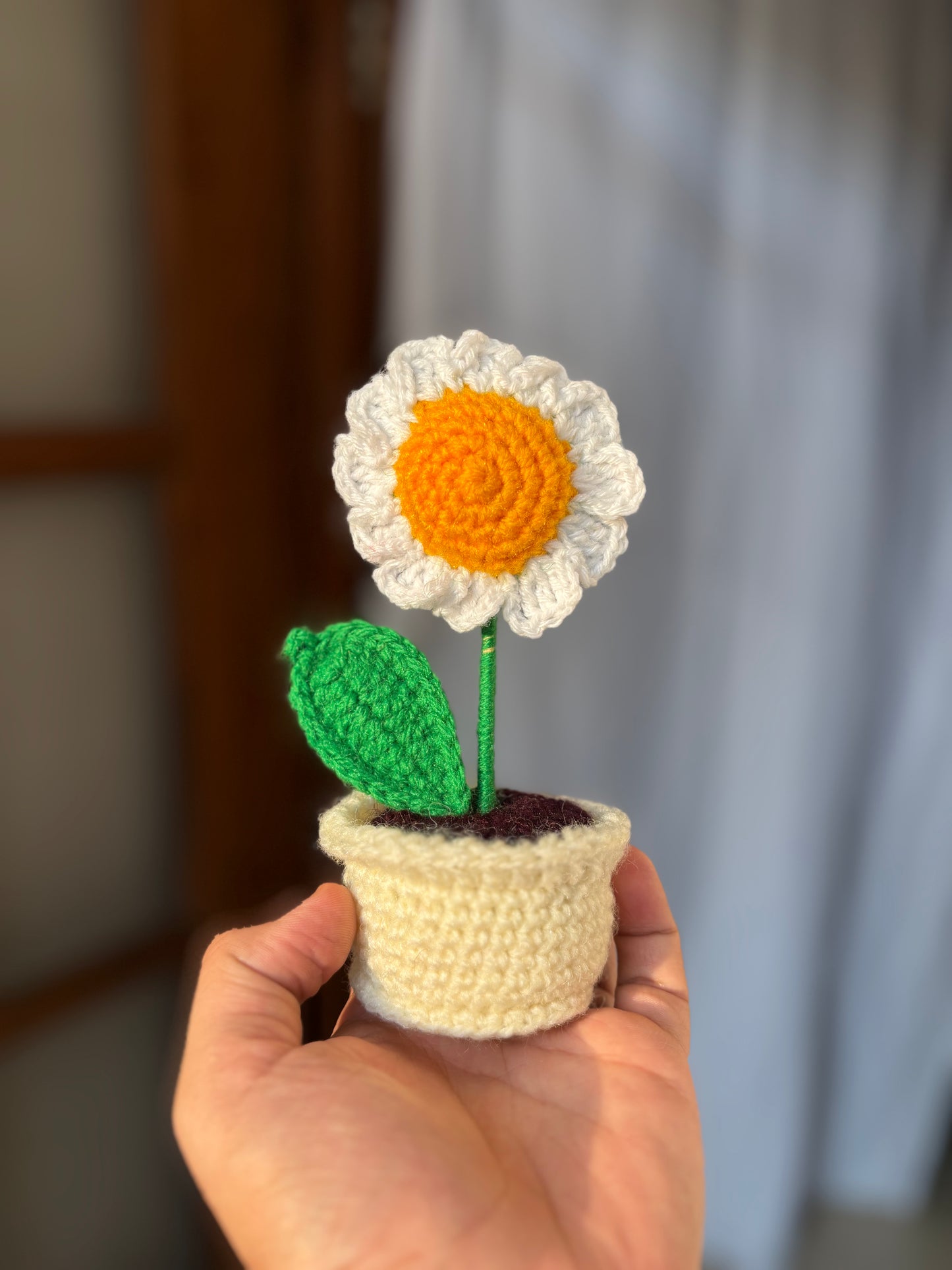 Mini Daisy pot