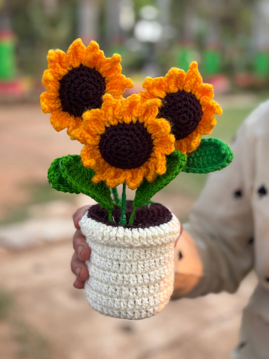Trio Sunflower pot