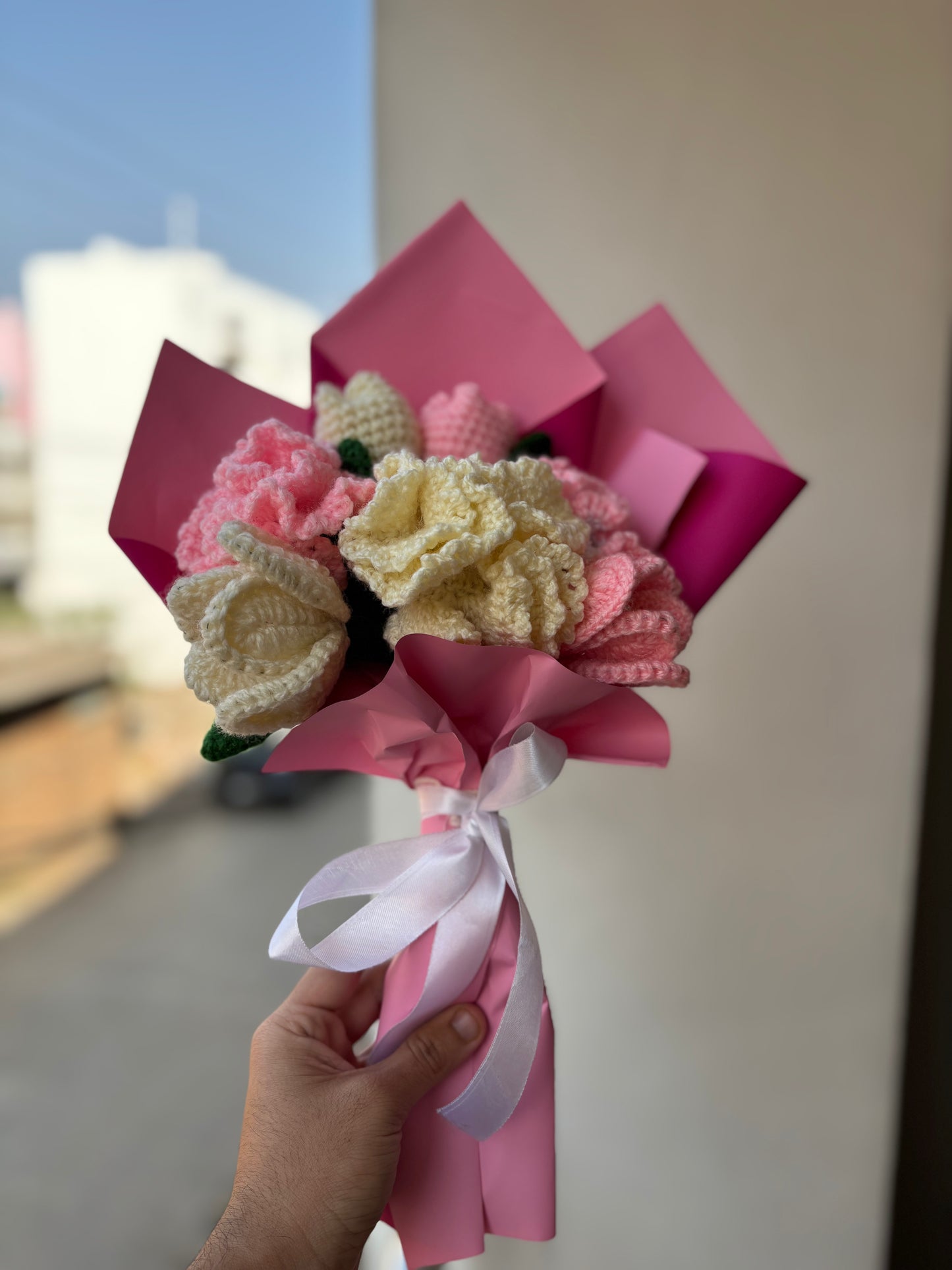 Carnation World