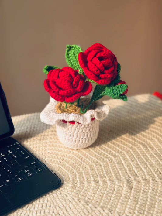 Rose Pot duo