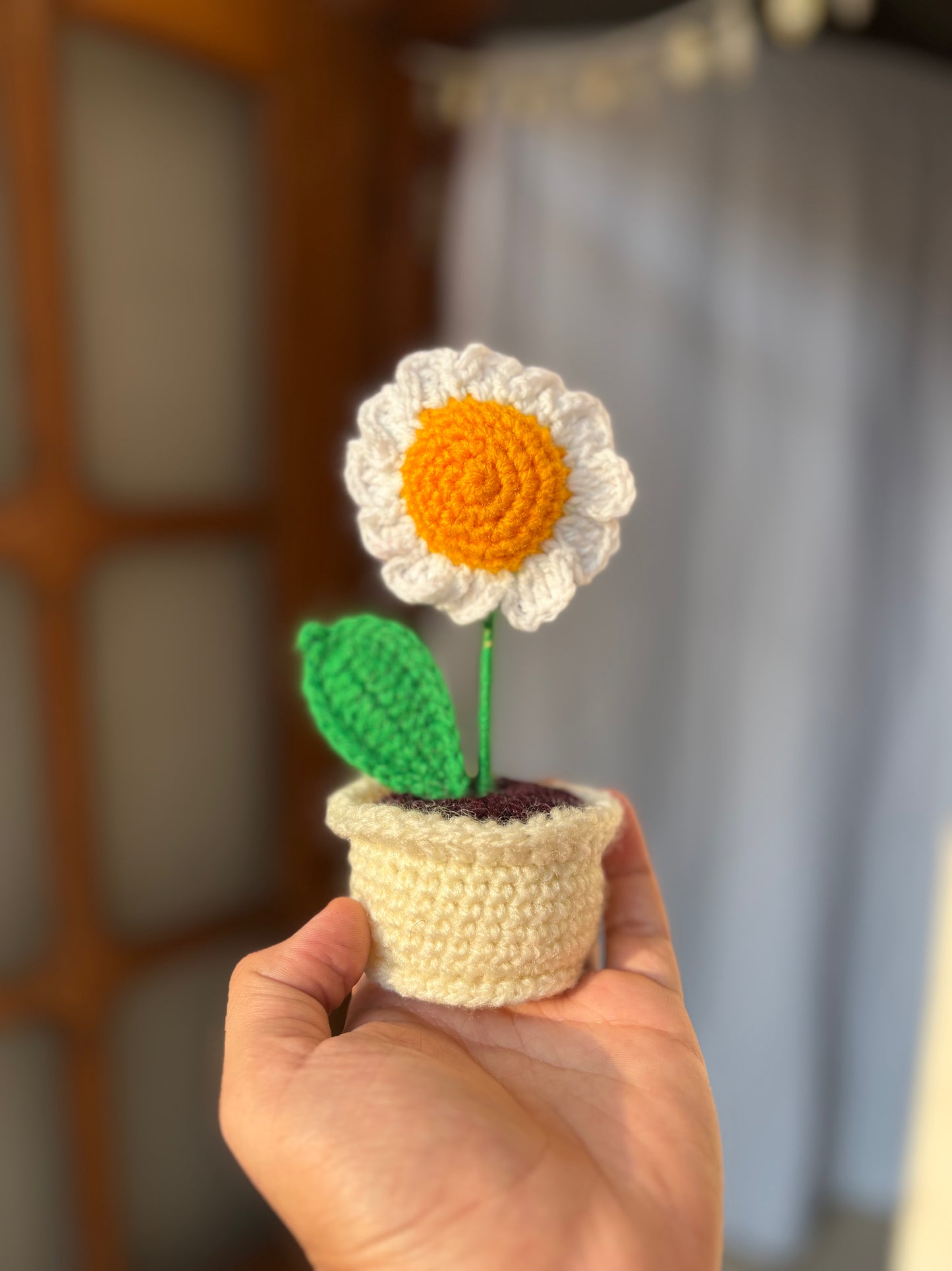 Mini Daisy pot
