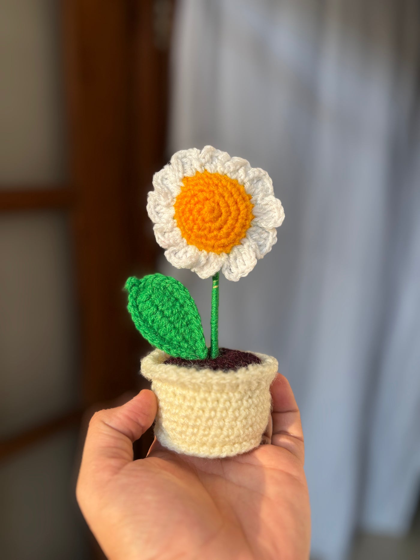 Mini Daisy pot