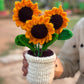 Trio Sunflower pot