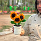 Trio Sunflower pot