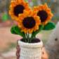 Trio Sunflower pot