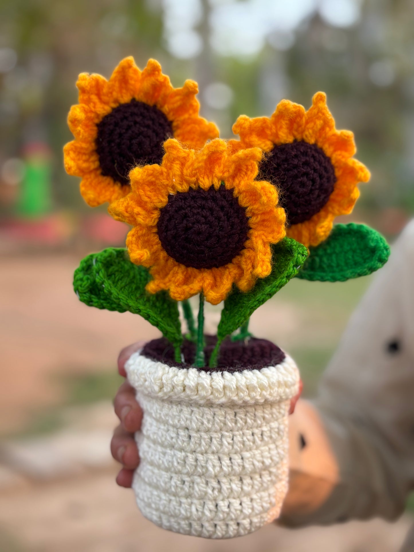 Trio Sunflower pot