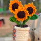 Trio Sunflower pot